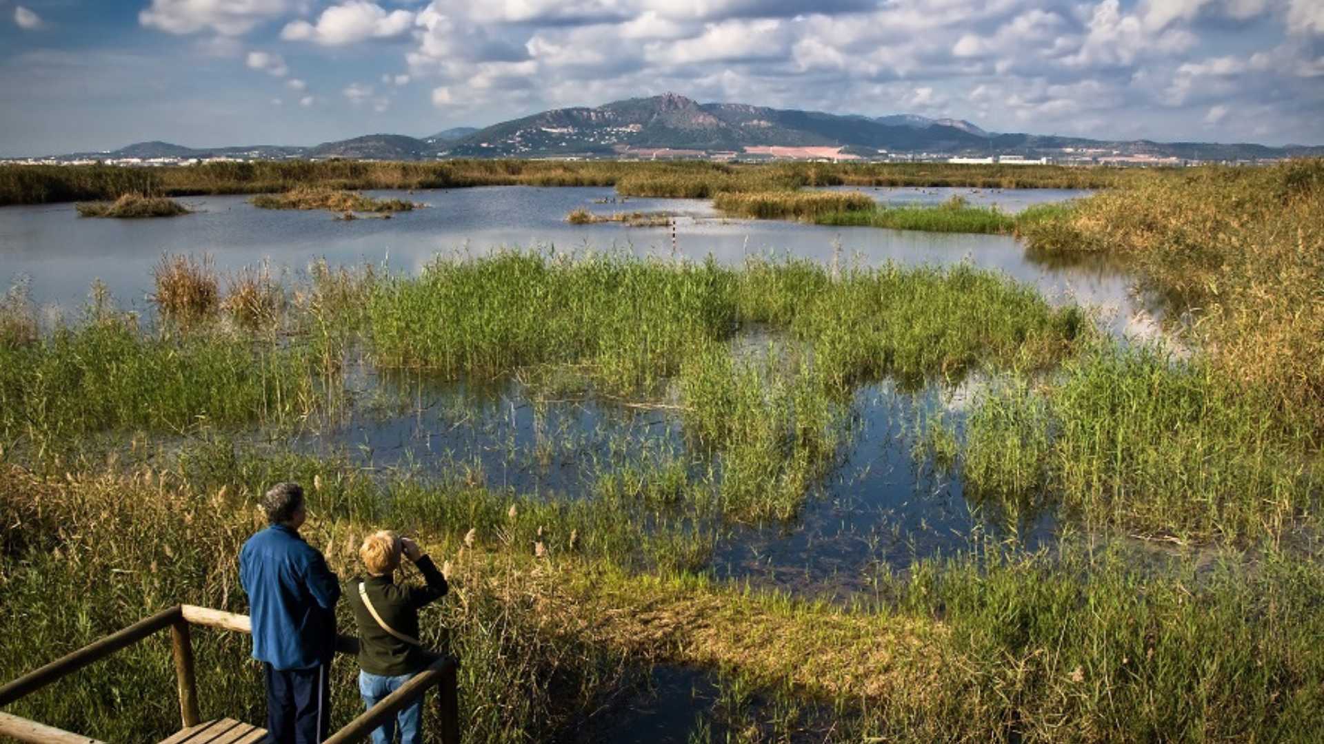Sagunto Puçol Marjal dels Moros