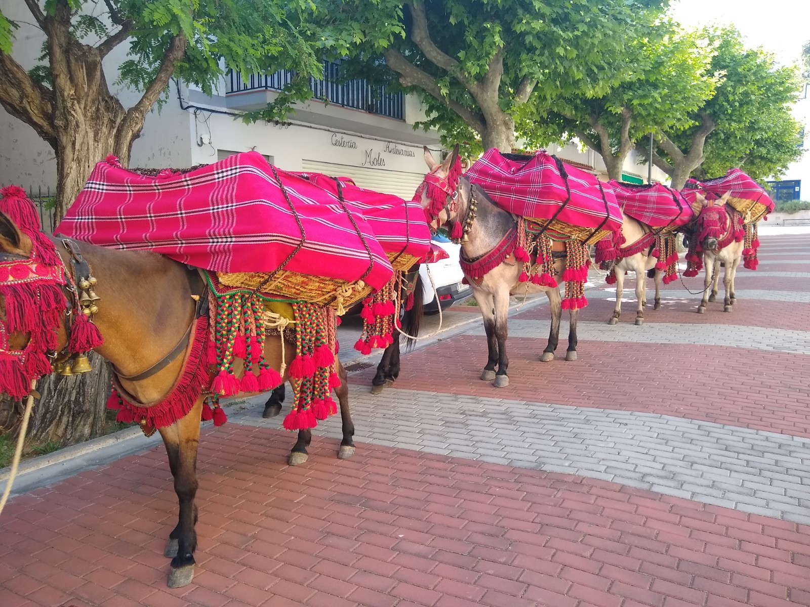 Festivitat de Sant Cristòfol de Benassal