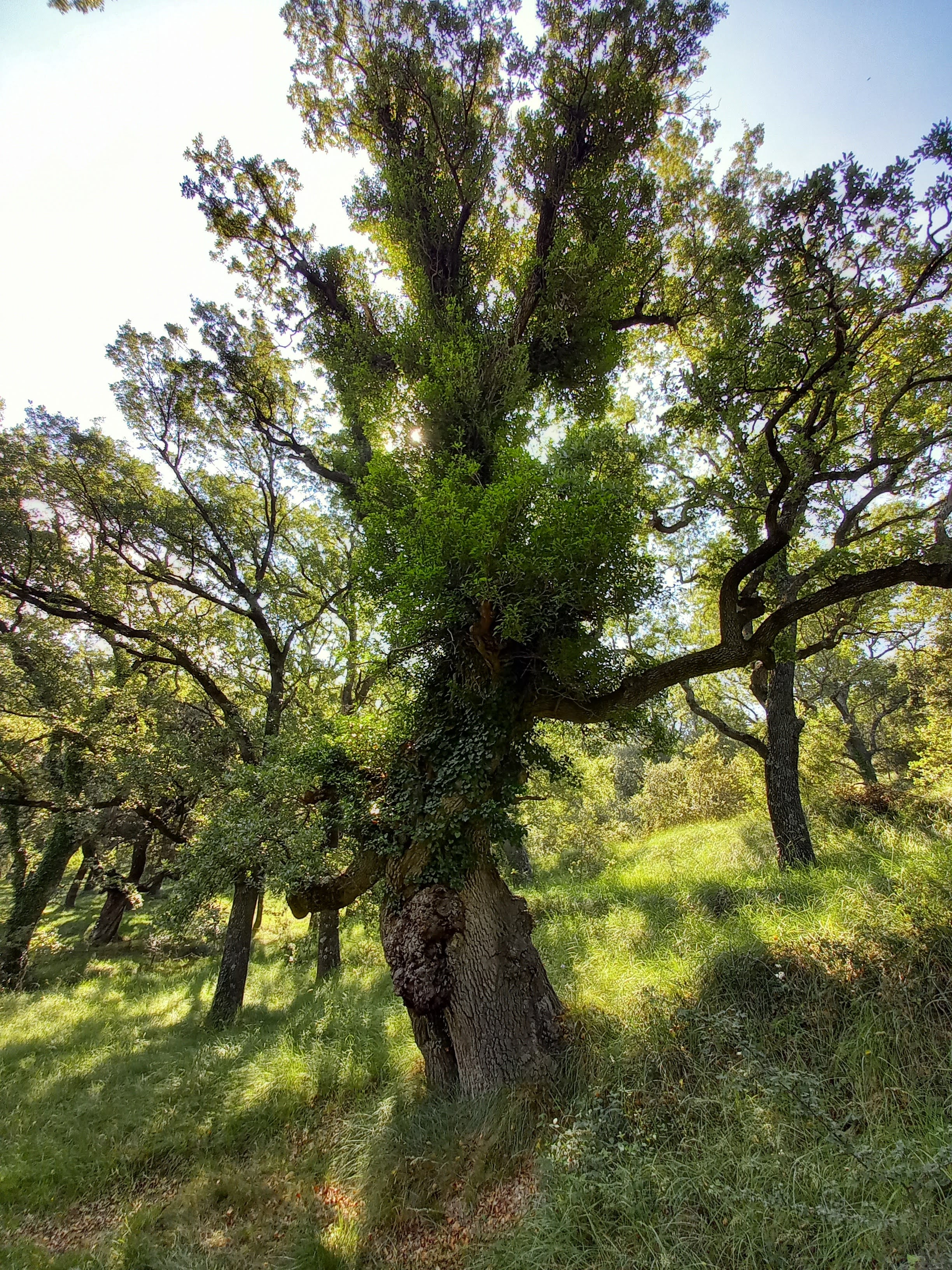 Paraje Natural Municipal 