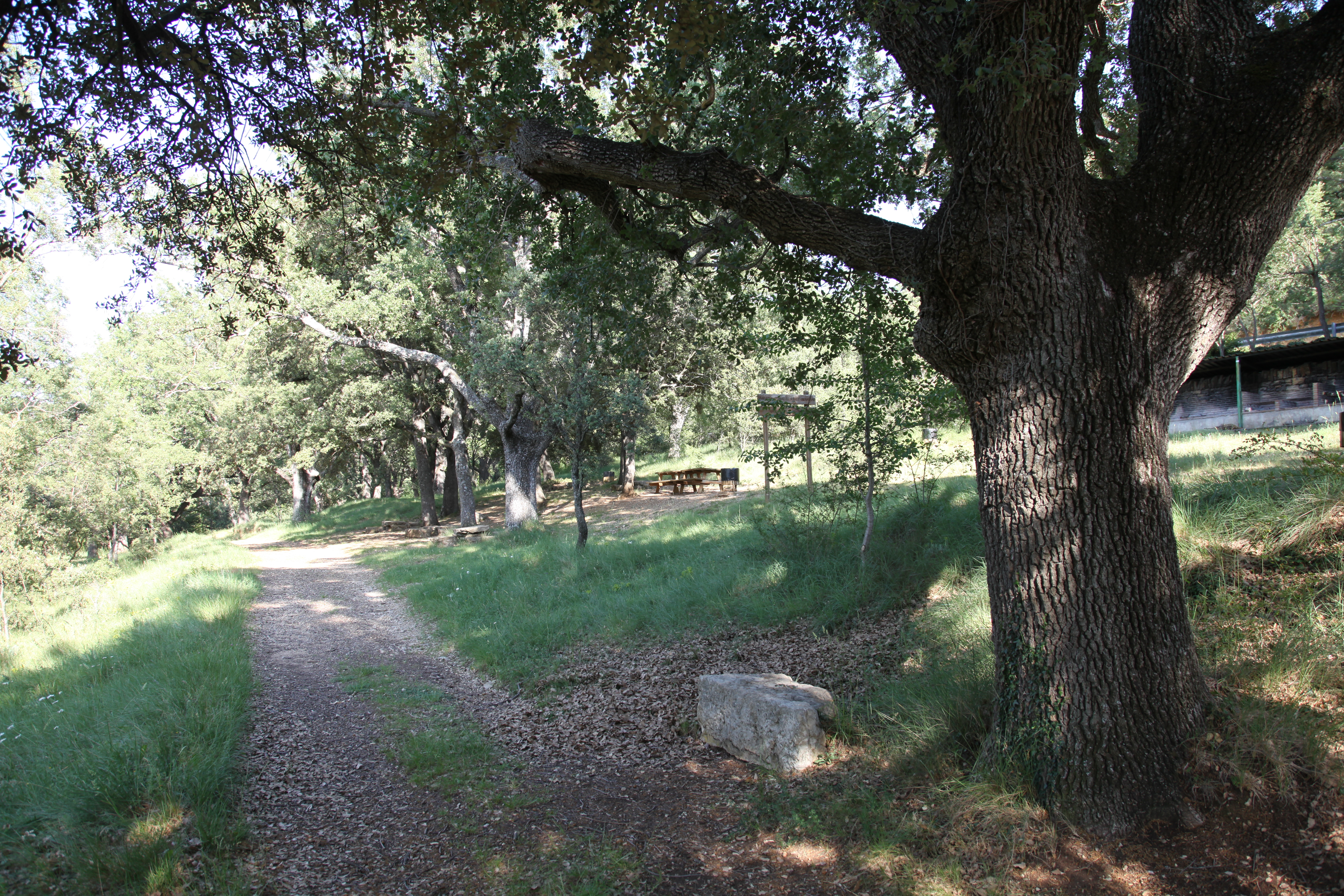 Naturreservat El Rivet