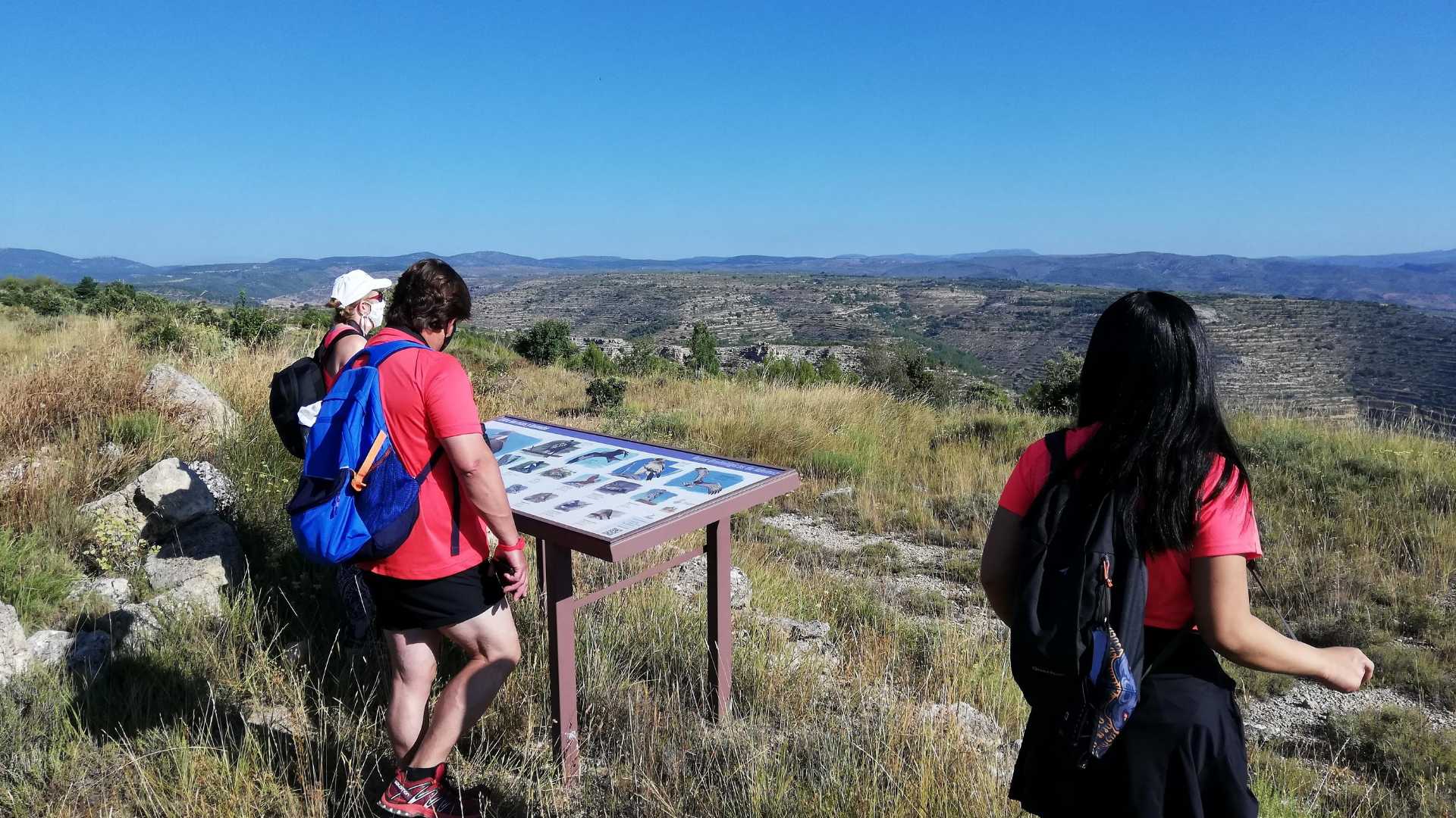 Ruta: Entre barracas y lavandas