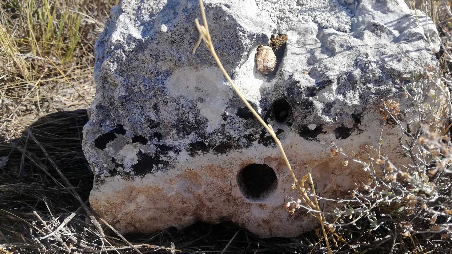 Ruta: Entre barracas y lavandas