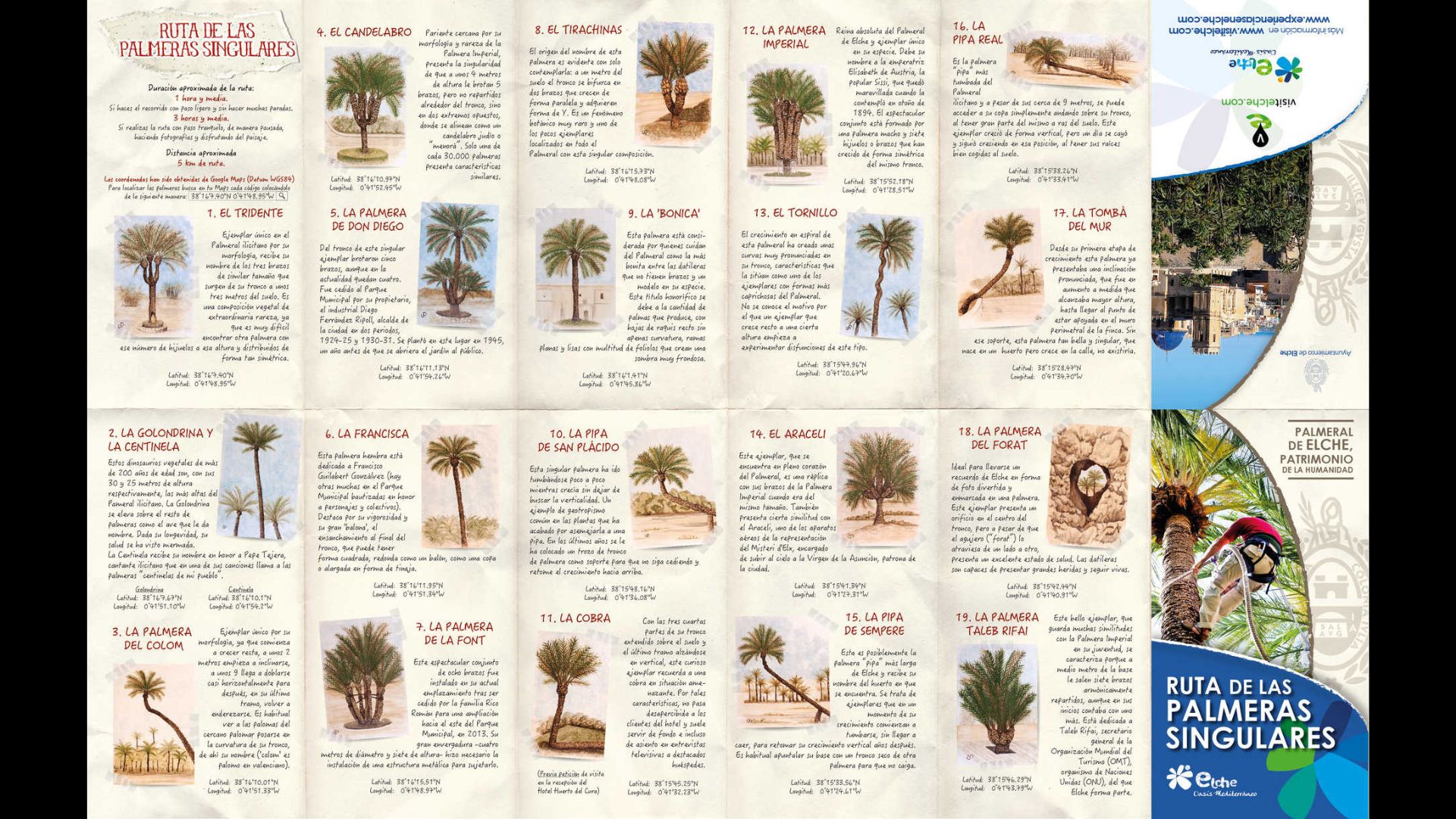 route de la palmeraie elche​,