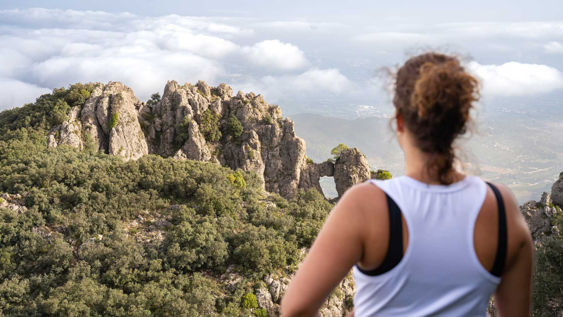 SERRA DE LA SAFOR