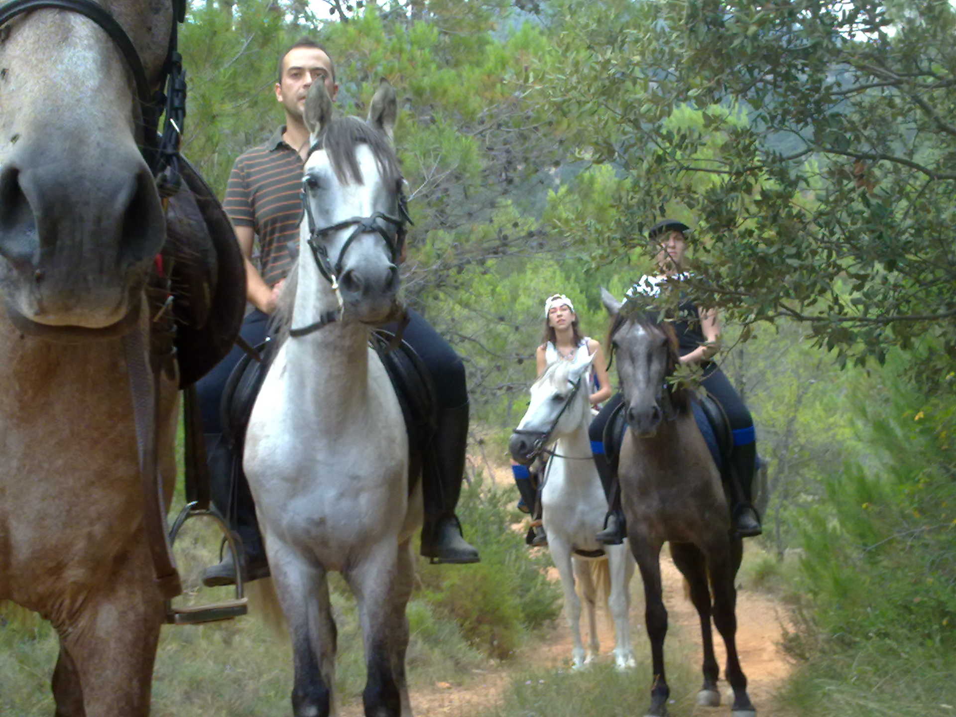 RUTAS A CABALLO LA TINENÇA