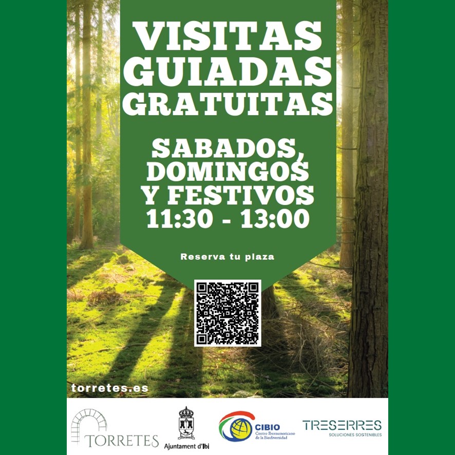 VISITAS GUIADAS GRATUITAS A TORRETES