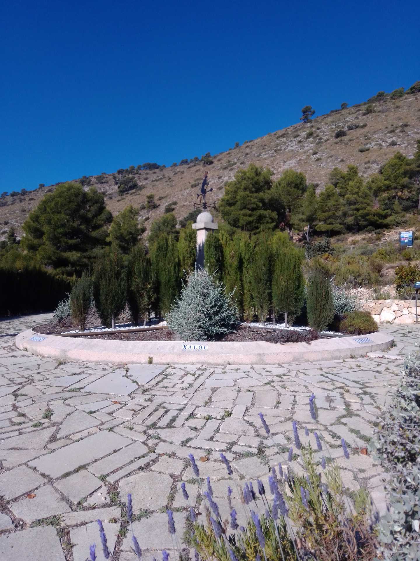 Jardí botànic Les Torretes en Ibi