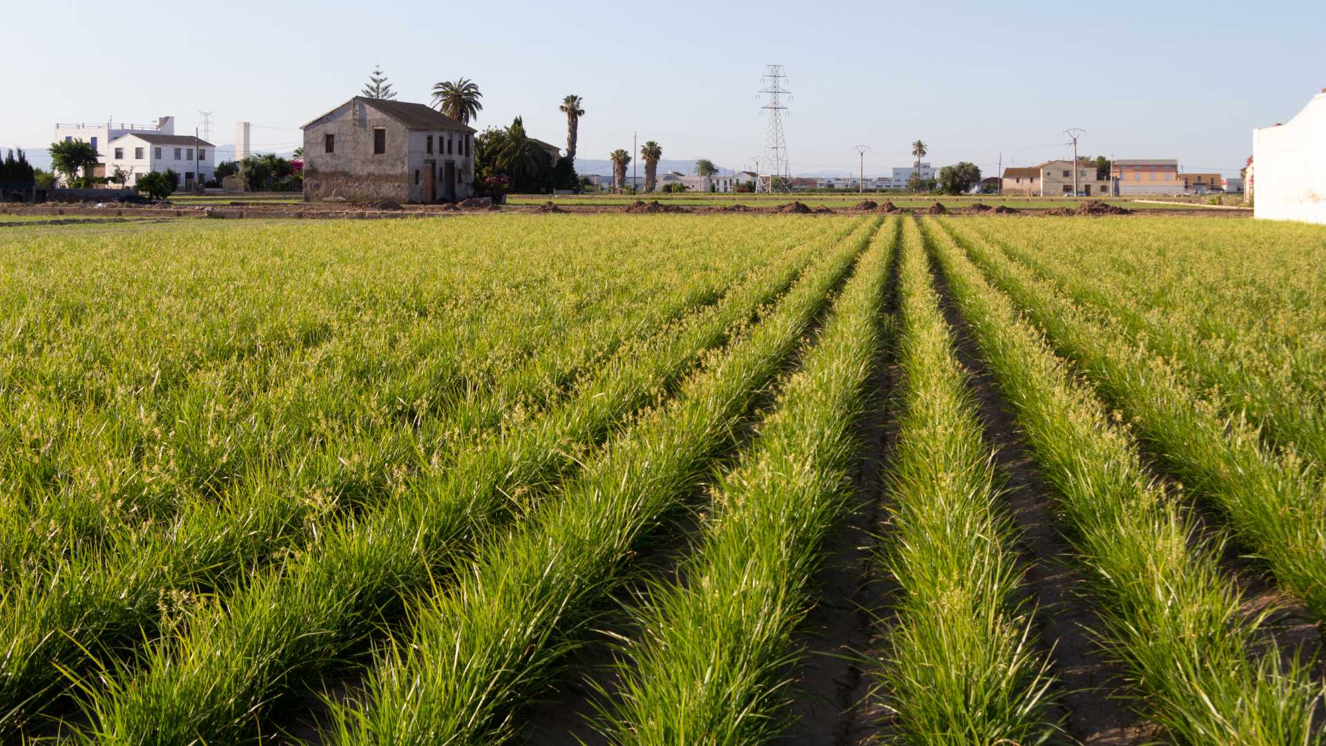 agritourism valencia