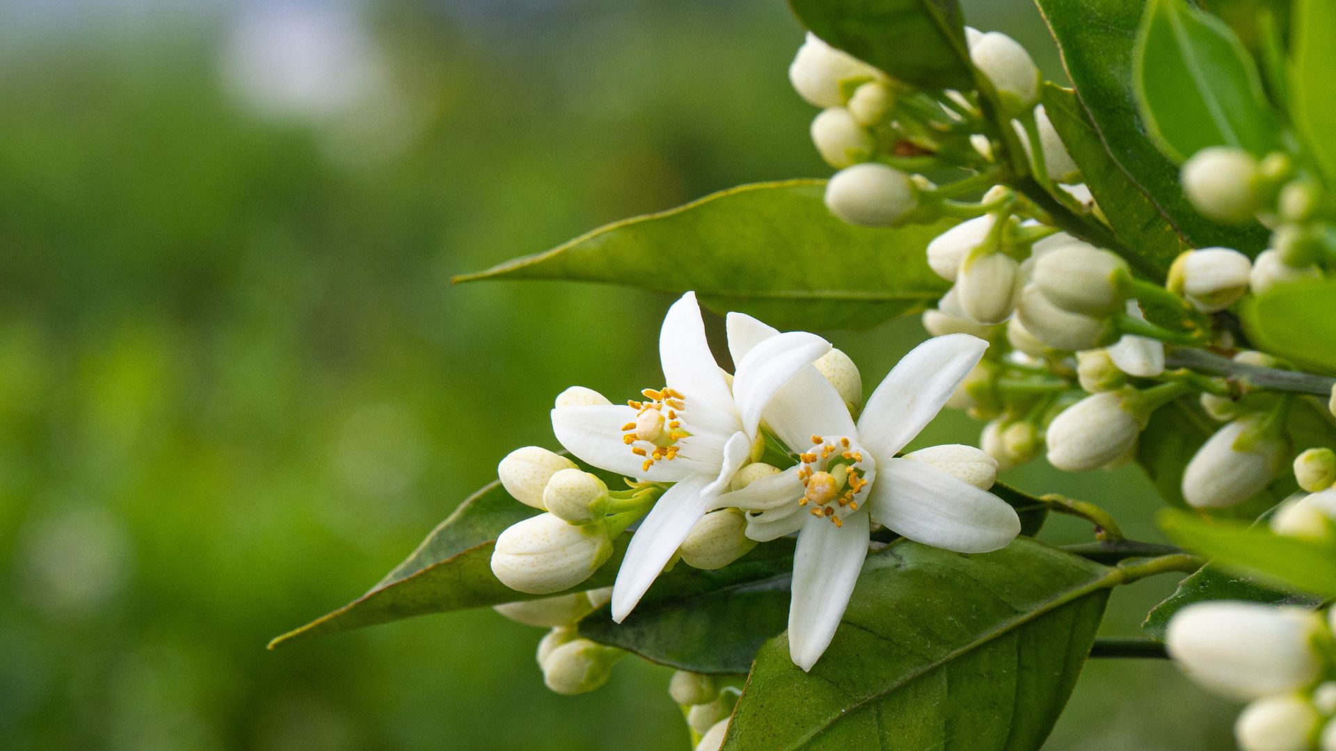 agroturismo comunidad valenciana​,