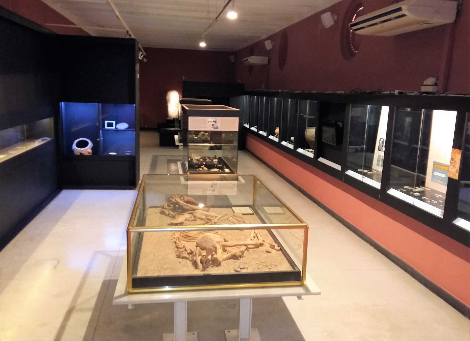 Museu Arqueològic Comarcal de la Plana Baixa-Burriana