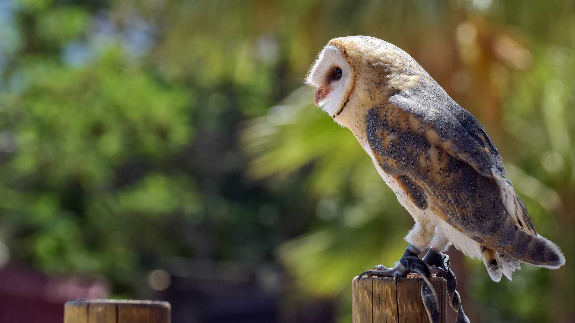 aktivitäten terra natura,