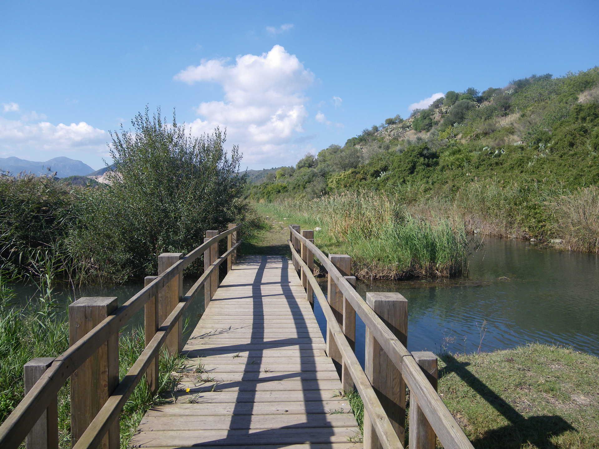 Parc Natural Marjal Pego-Oliva