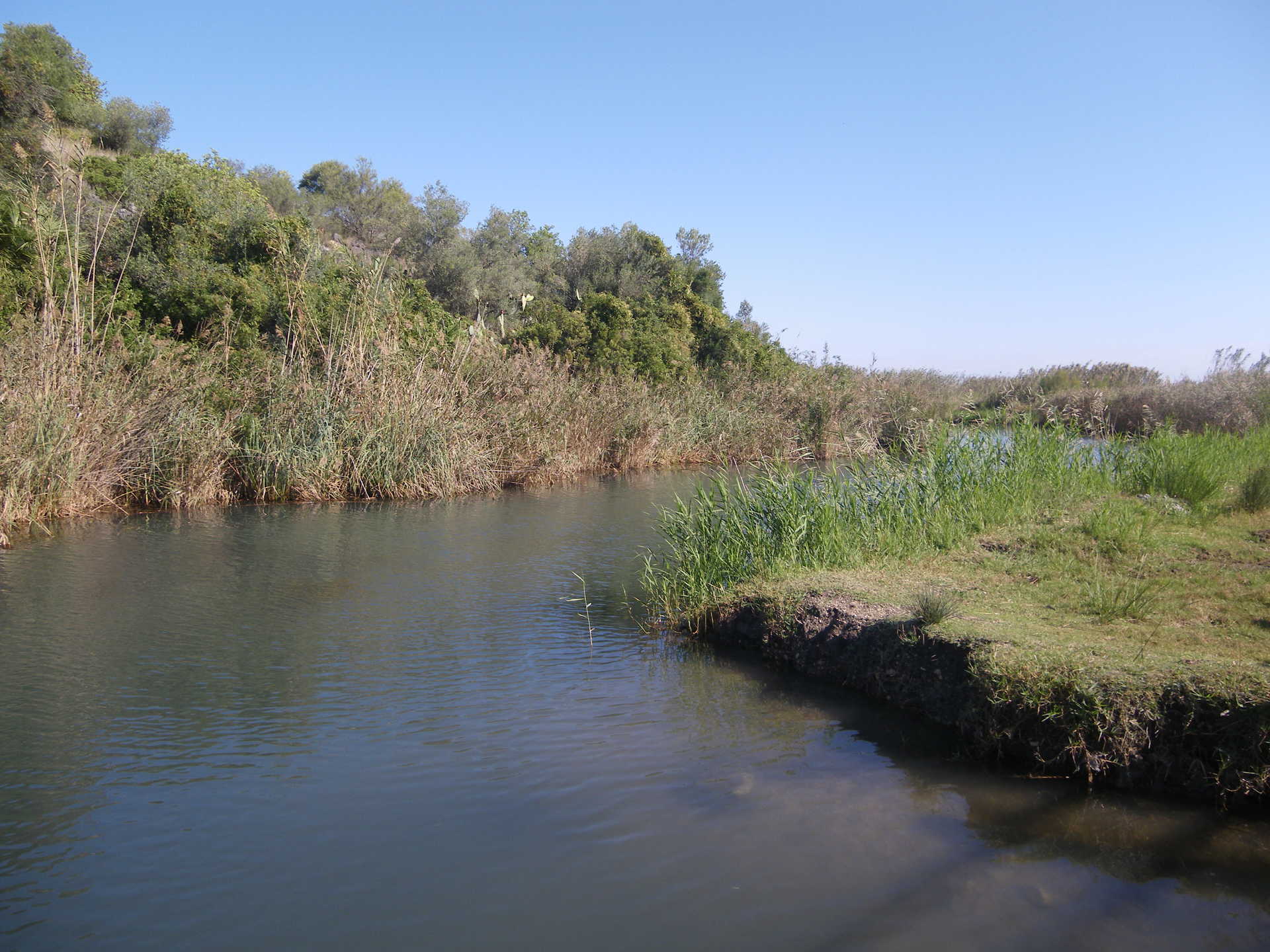 Parc Natural Marjal Pego-Oliva