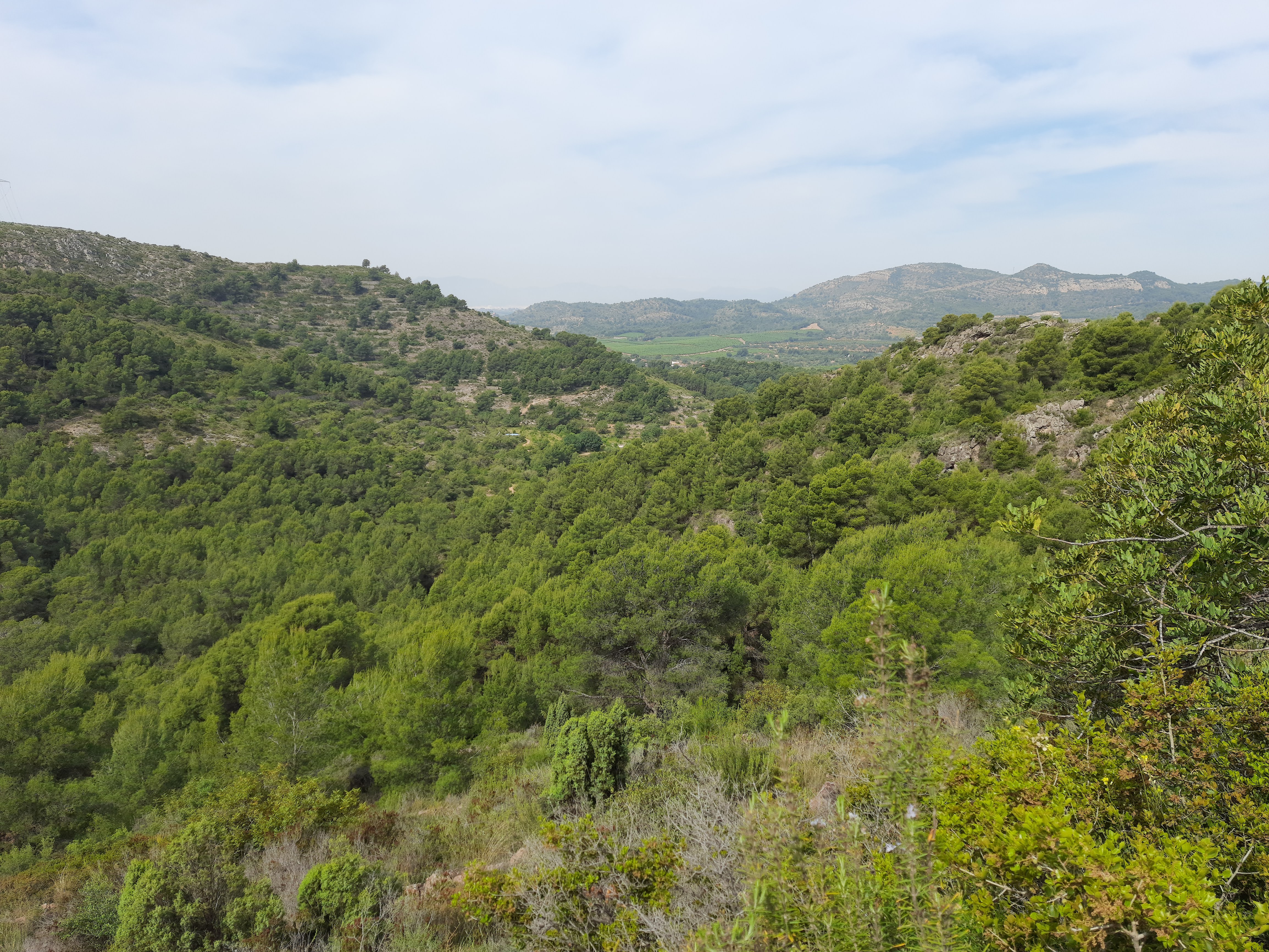 Ruta en familia por La Joquera: naturaleza y patrimonio en cada paso