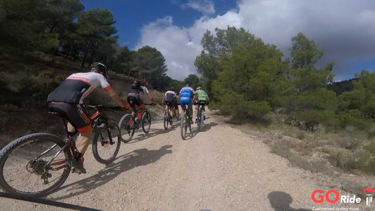 GO ride