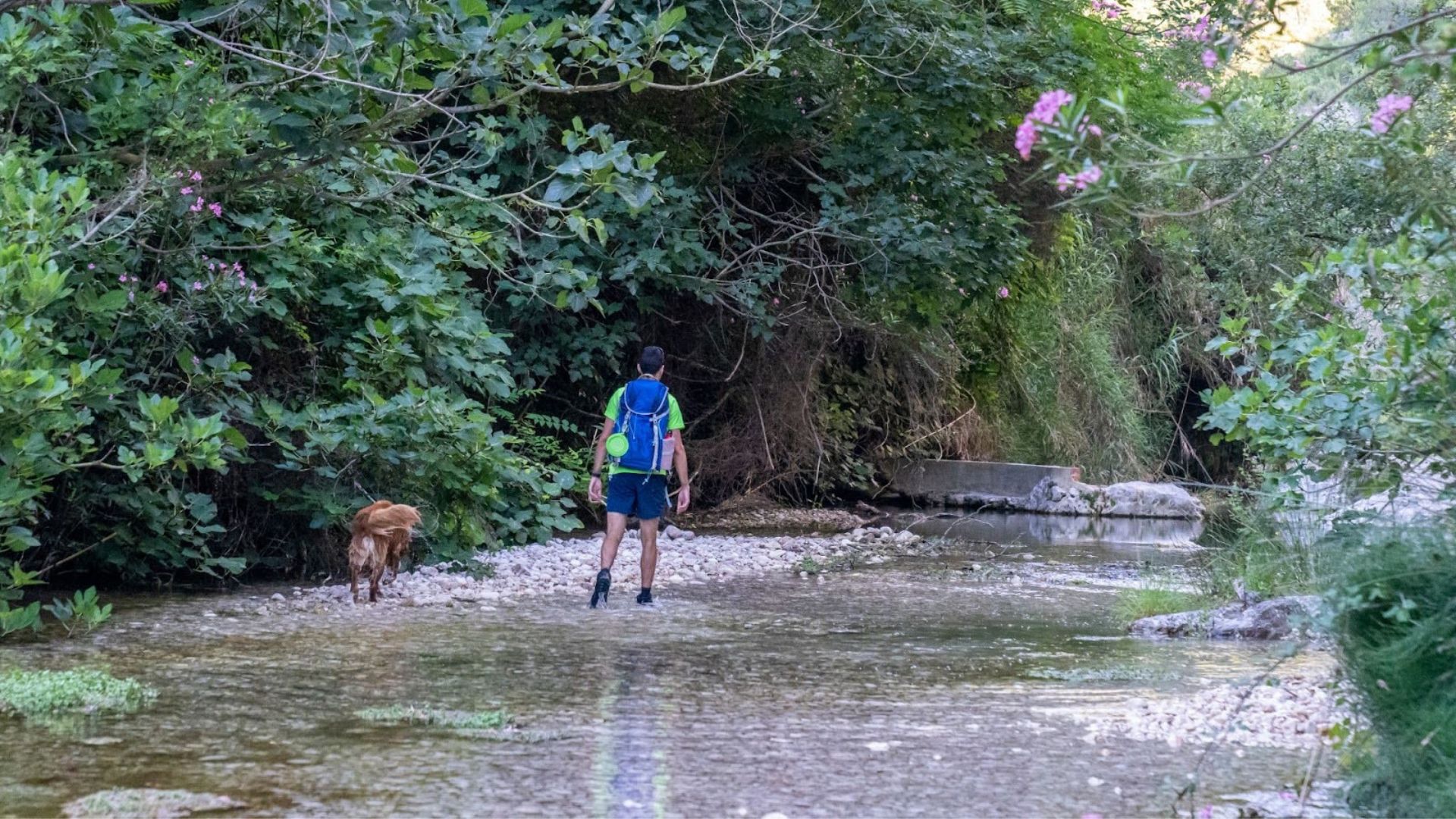 ruta de senderos pet friendly​,