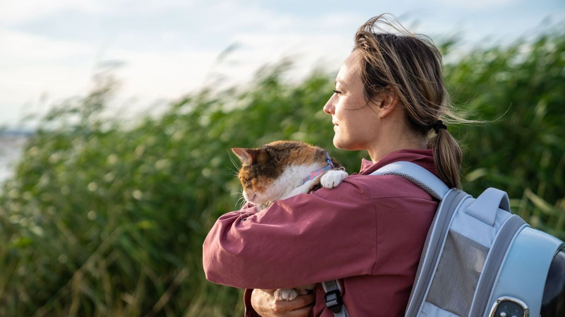 Rutas pet-friendly comunitat valenciana,