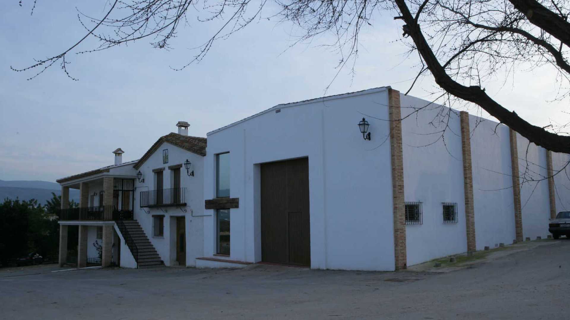 Cata entre viñedos al atardecer