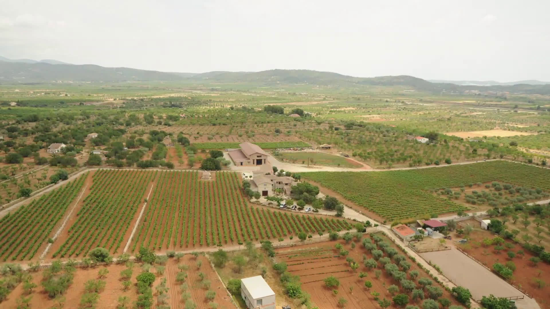 bodegas provincia castellon