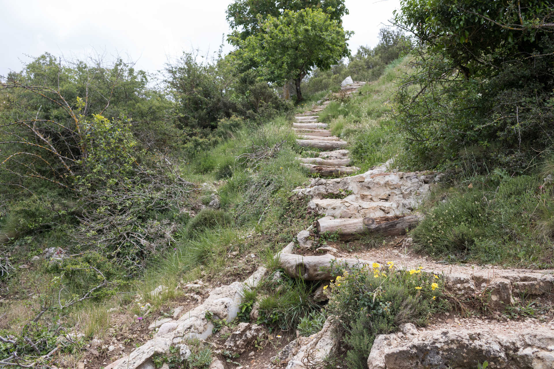 Parque Natura de la Sierra Mariola