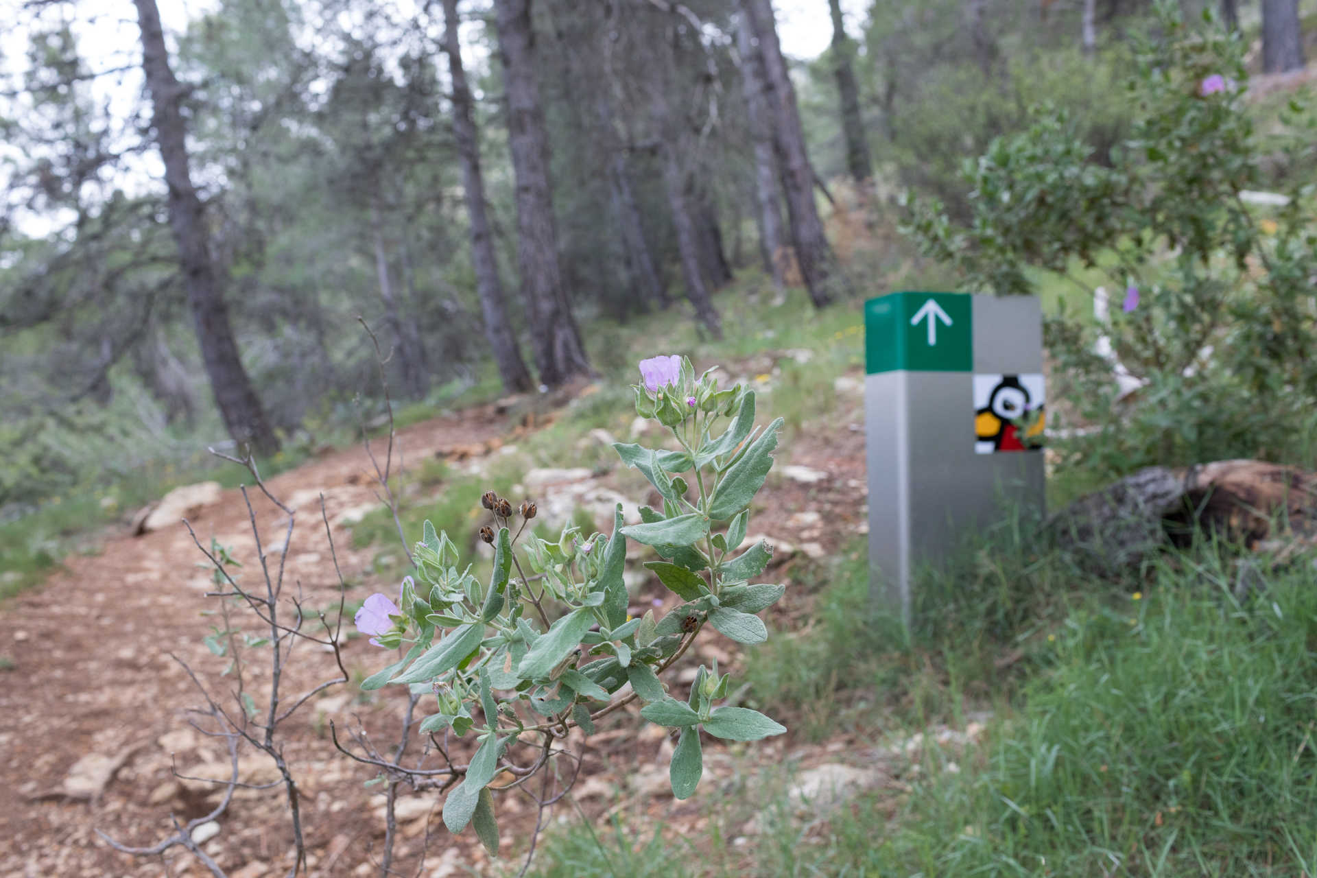 Parc naturel de la Sierra Mariola