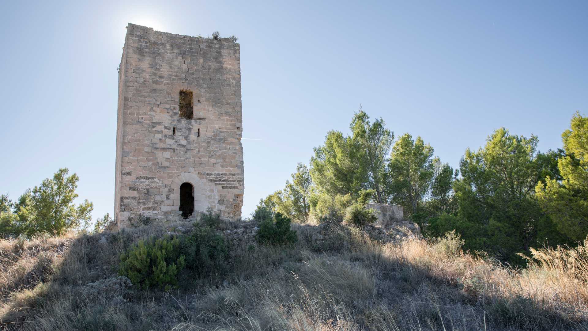 Castillo, ermita de San Roque o Santa Águeda la Vieja y cintas murarias
