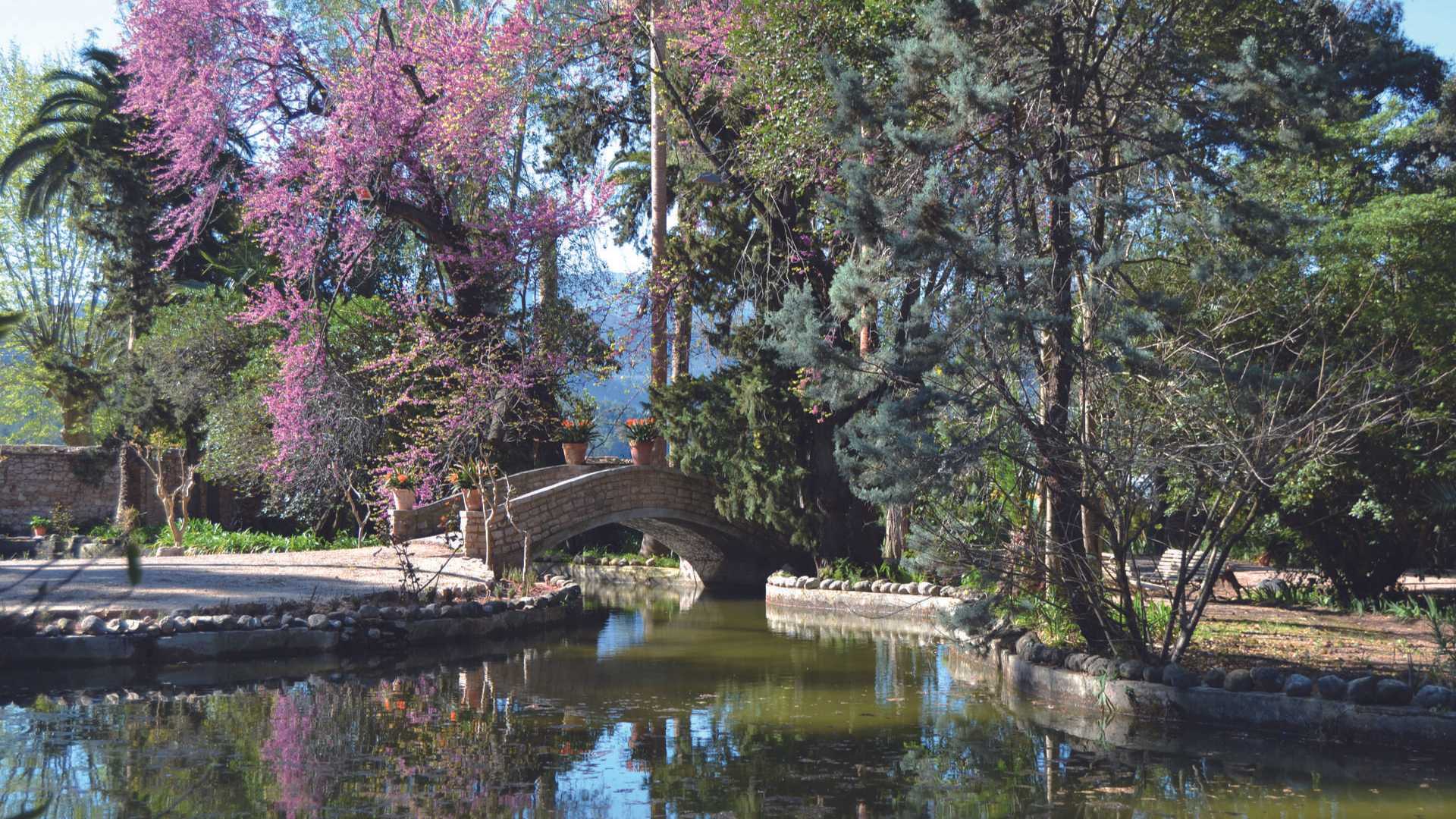 claustre del monestir de sant jeroni de cotalba,