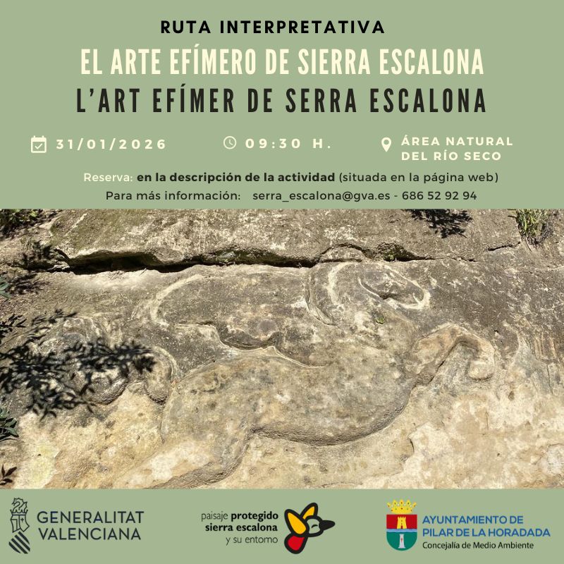RUTA INTERPRETATIVA: EL ARTE EFÍMERO DE SIERRA ESCALONA EN PILAR DE LA HORADADA