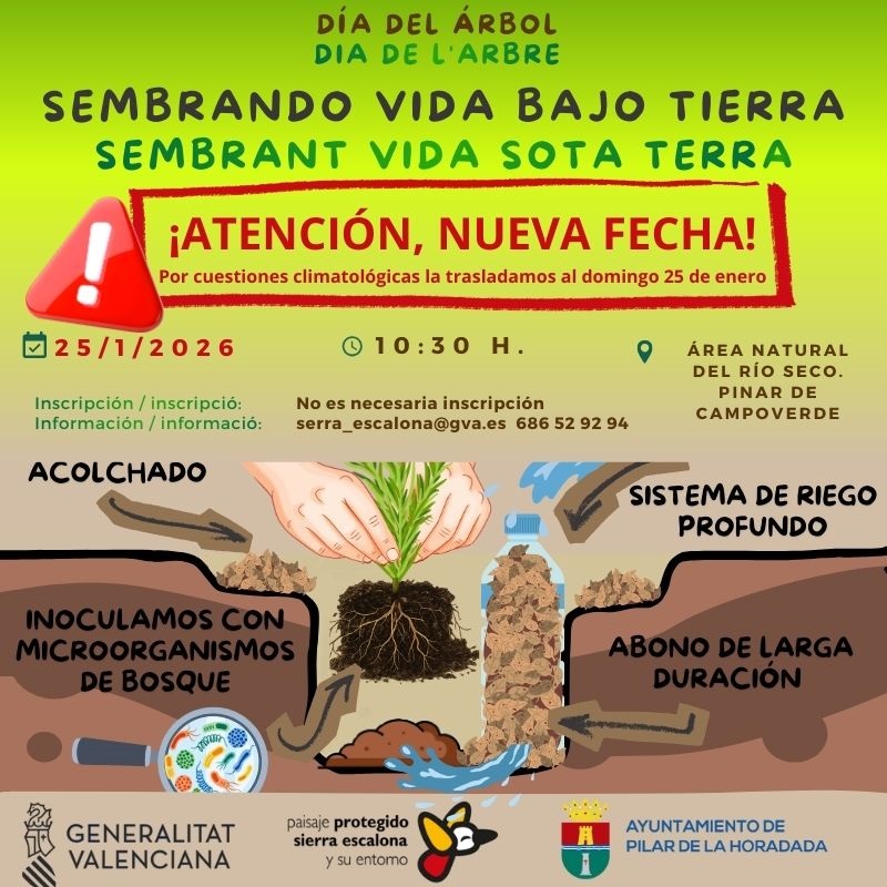 DÍA DEL ÁRBOL EN PILAR DE LA HORADADA