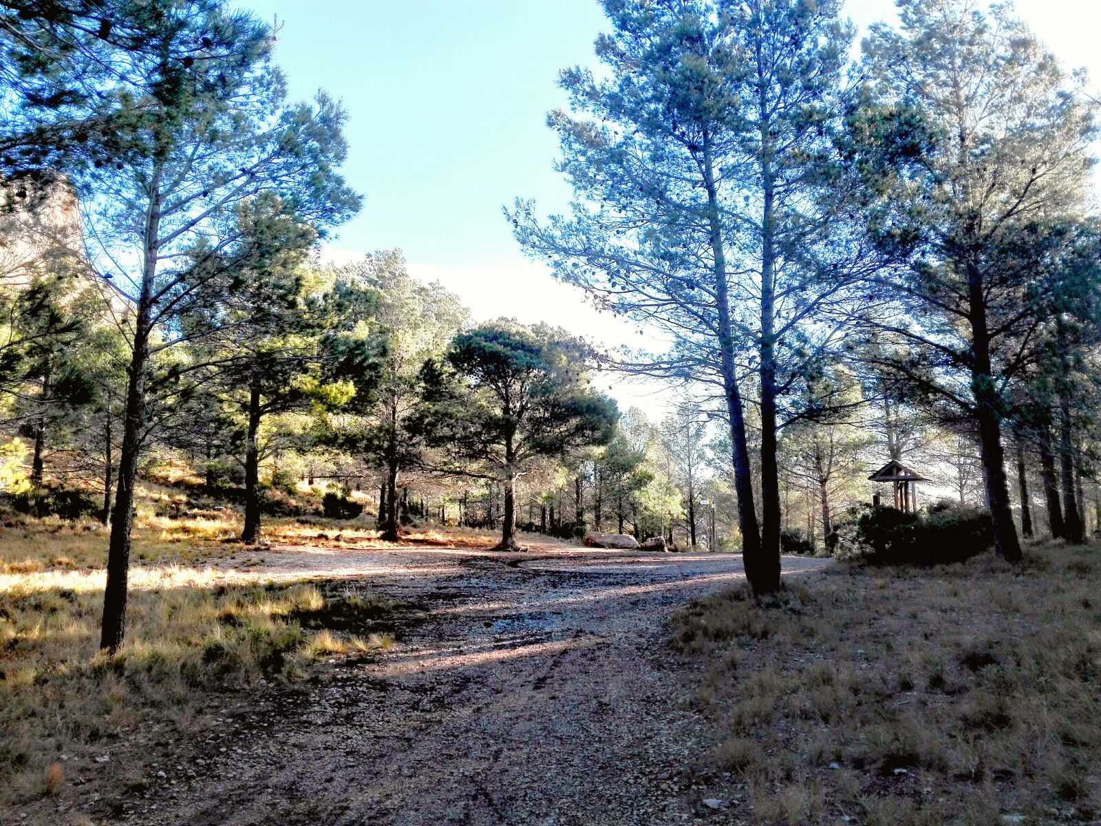 Naturschutzgebiet Puigcampana  und Ponotx