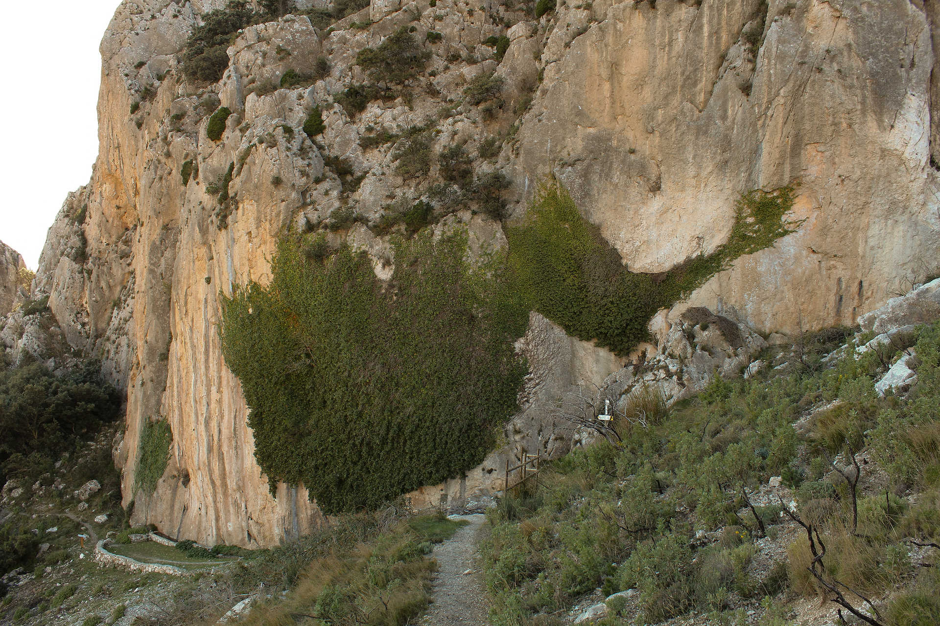 Paisaje protegido del Puigcampana y Ponotx