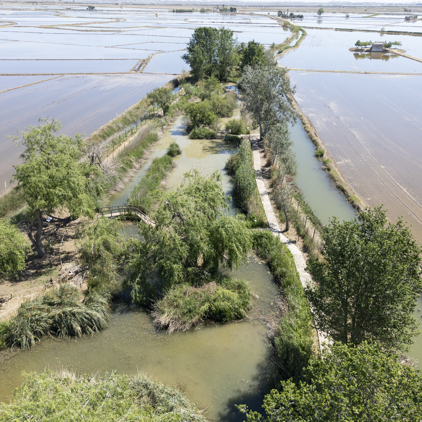 VISITES GUIADES A LA LLACUNA DEL SAMARUC I PARET DEL MOLINET