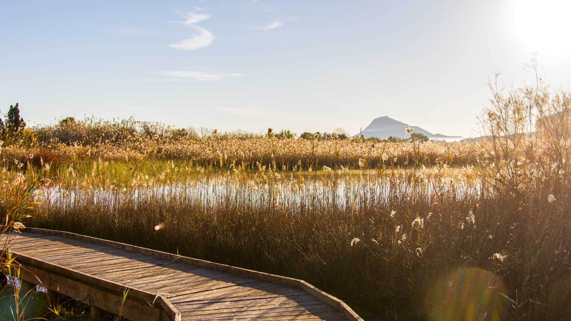 Aktivtourismus in der Region Valencia