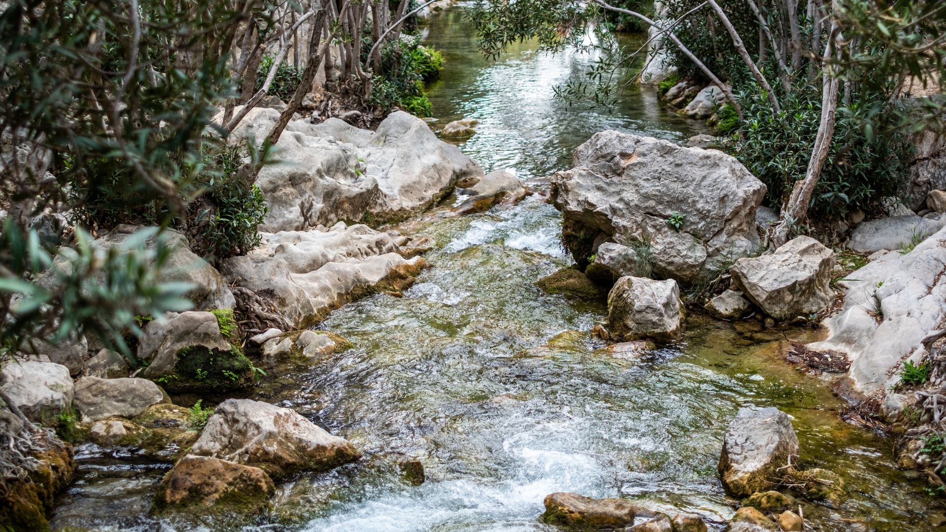 Fonts de l'Algar