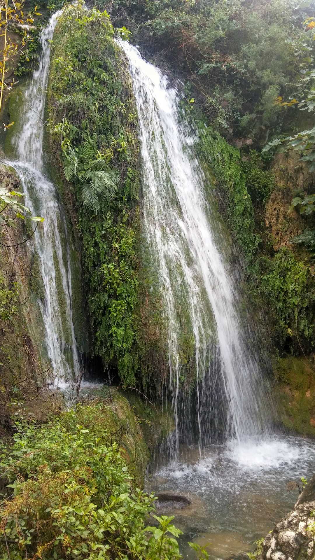 Fonts de l'Algar