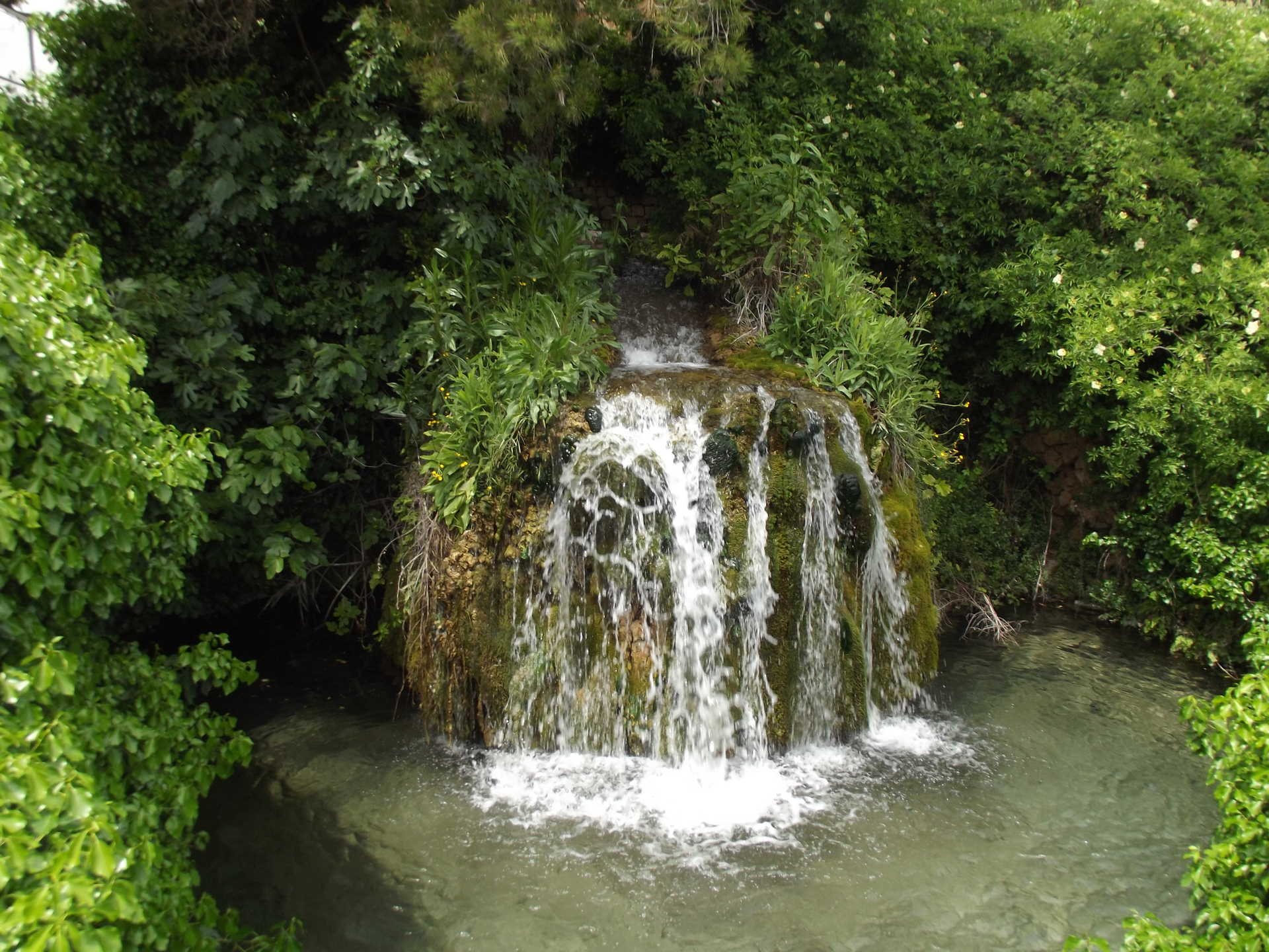 RUTA DEL AGUA DE AYORA