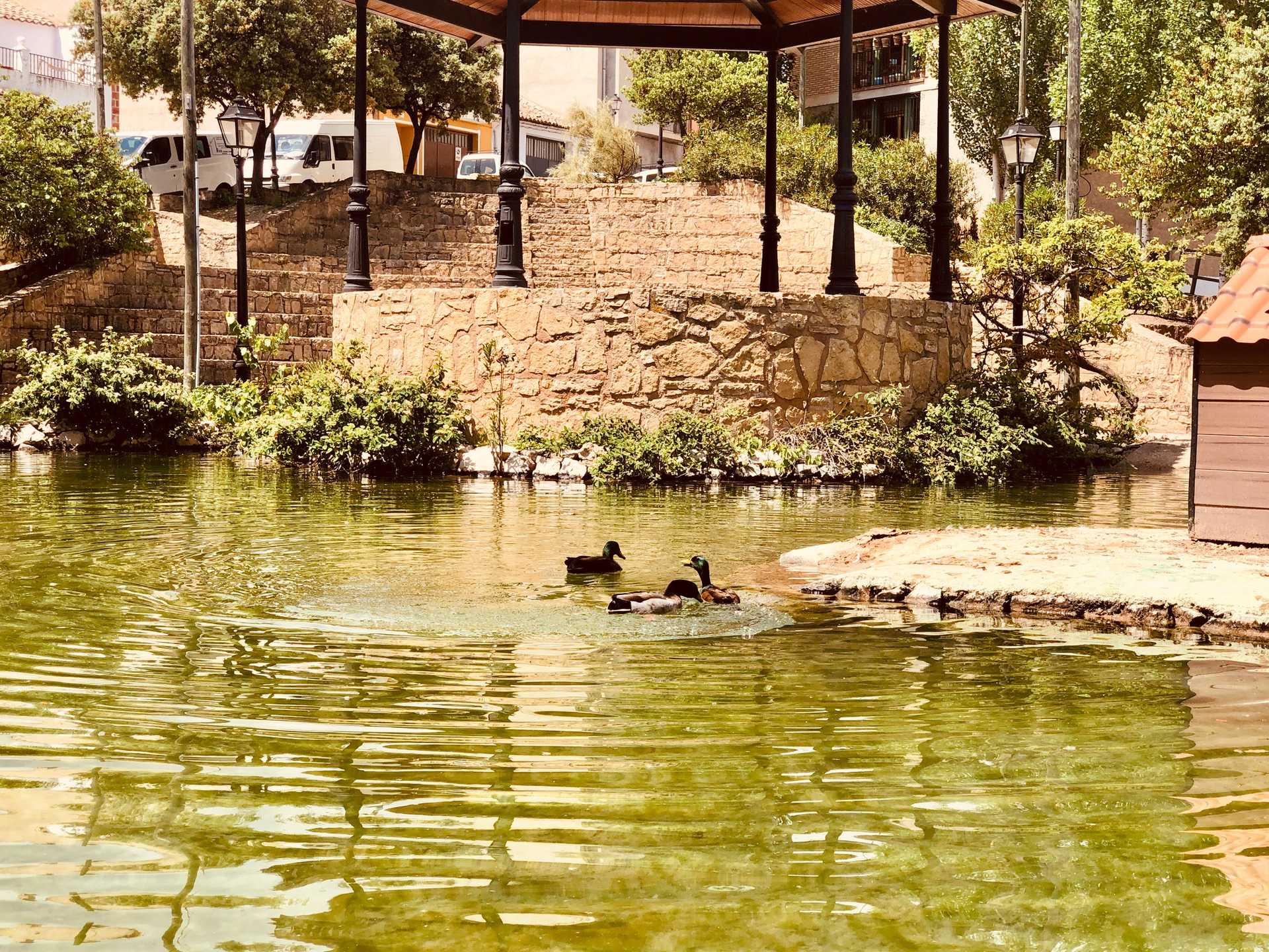 RUTA DEL AGUA DE AYORA