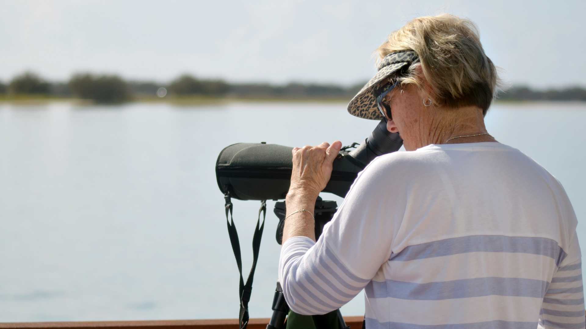 best season for birdwatching