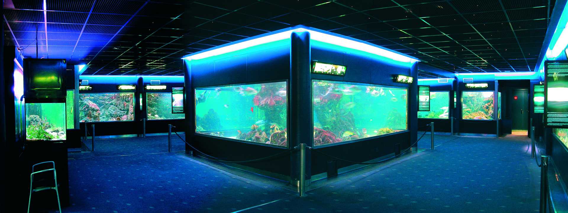Santa Pola Municipal Aquarium