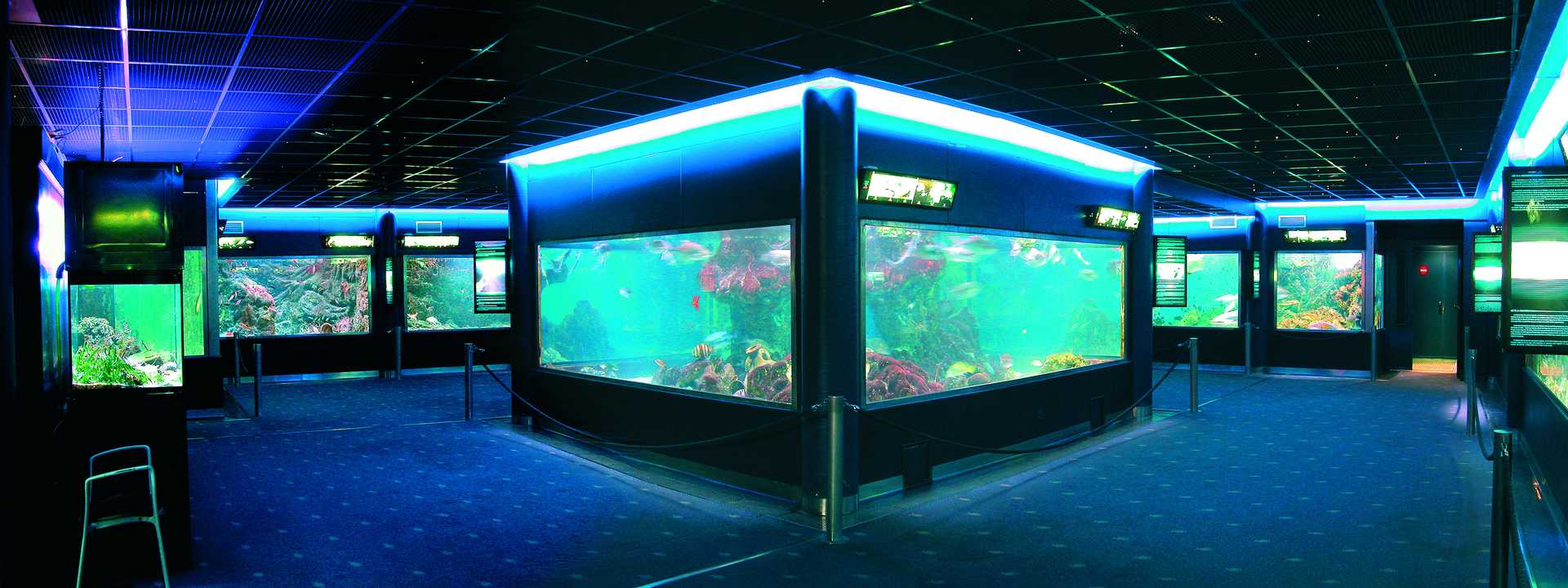 Das städtische Aquarium von Santa Pola