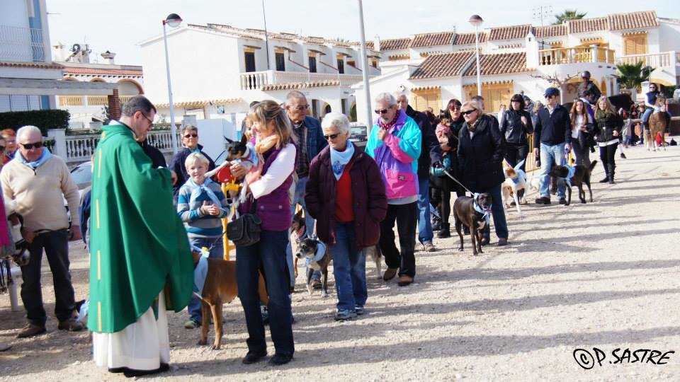 Festivité de Sant Antoni Abad