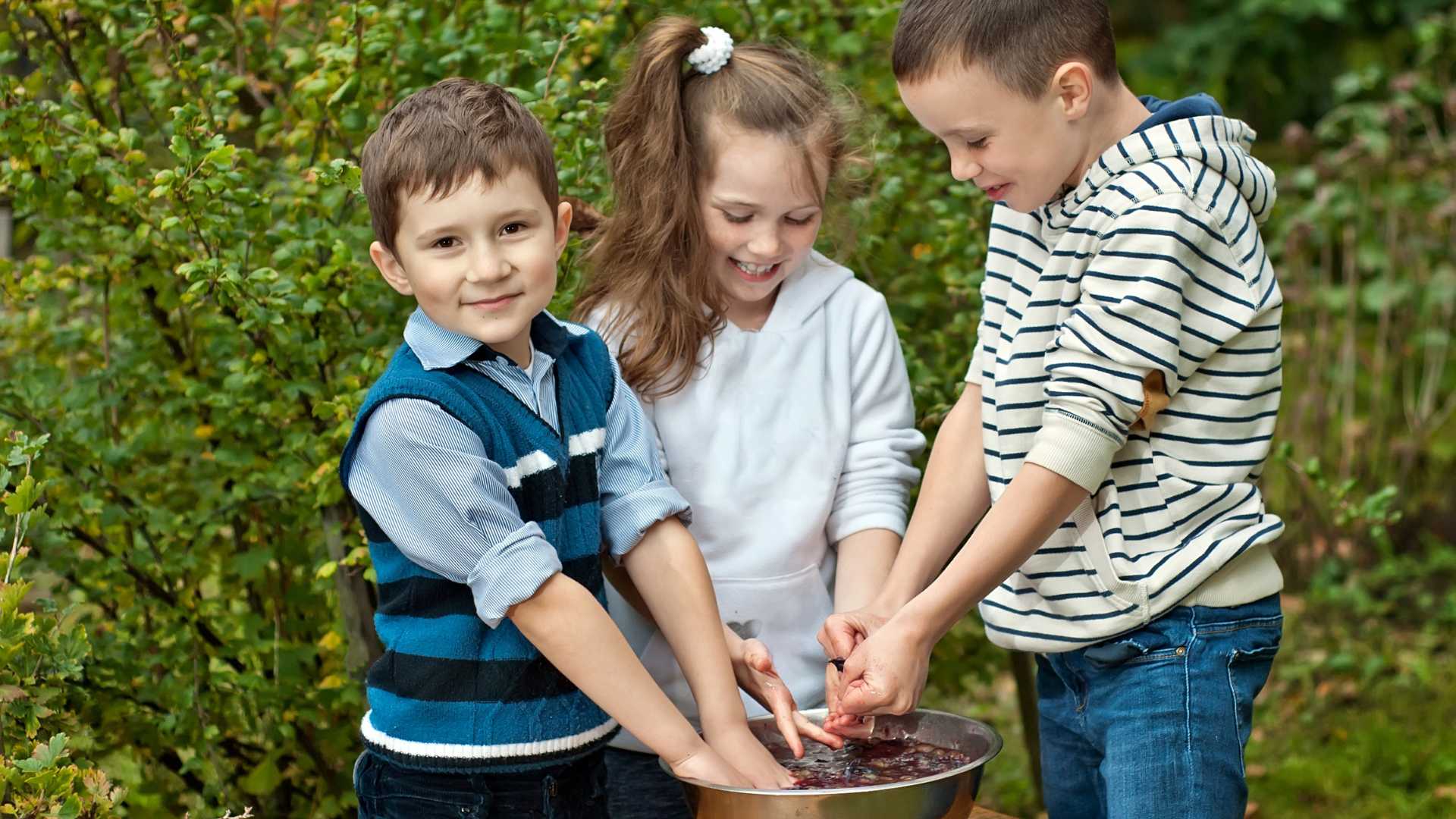 Actividades de Vendimia en Familia