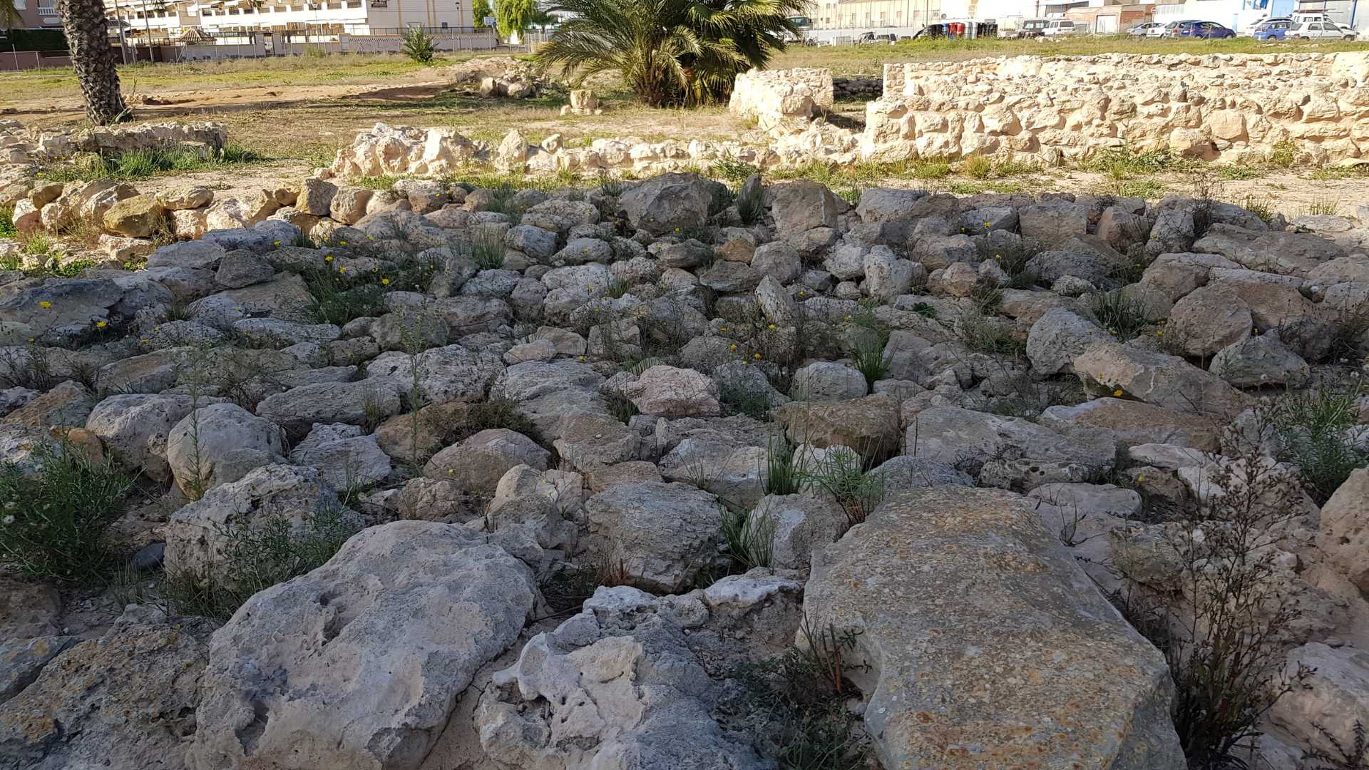 la picola,
