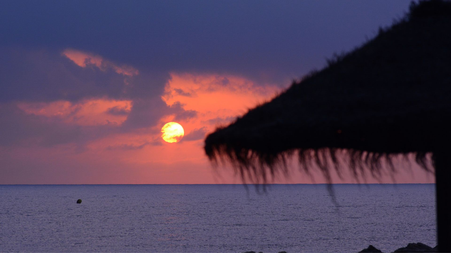 Playa Medicalia