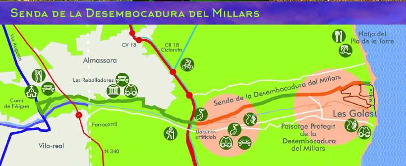 BIRDING ALMASSORA