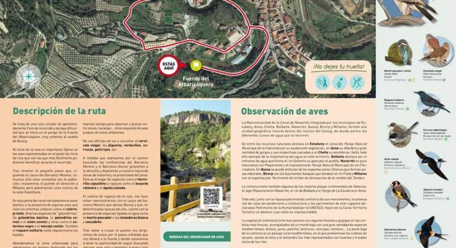 BIRDING ALMASSORA