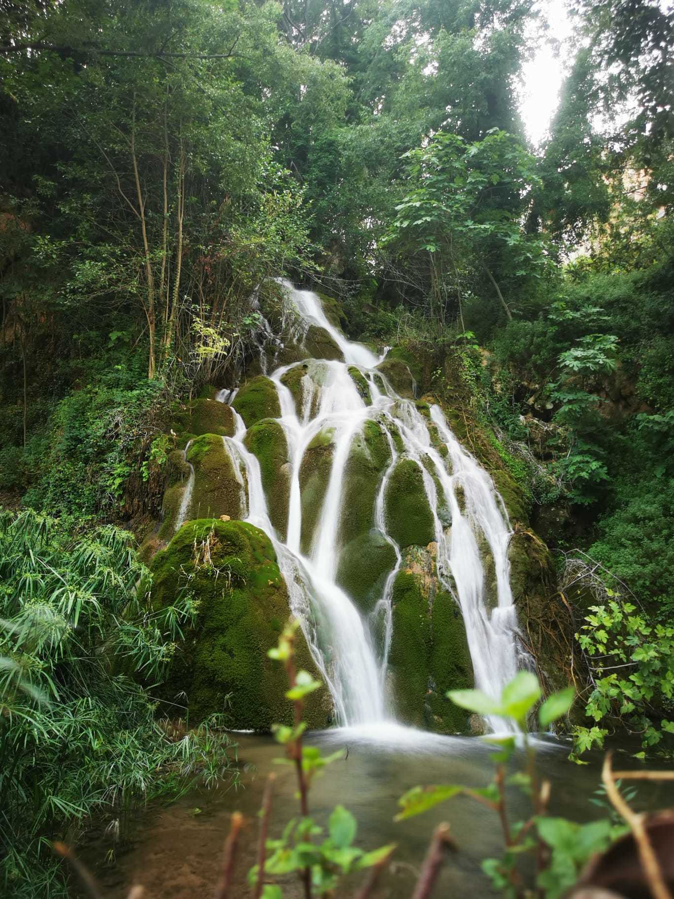 Parque La Floresta