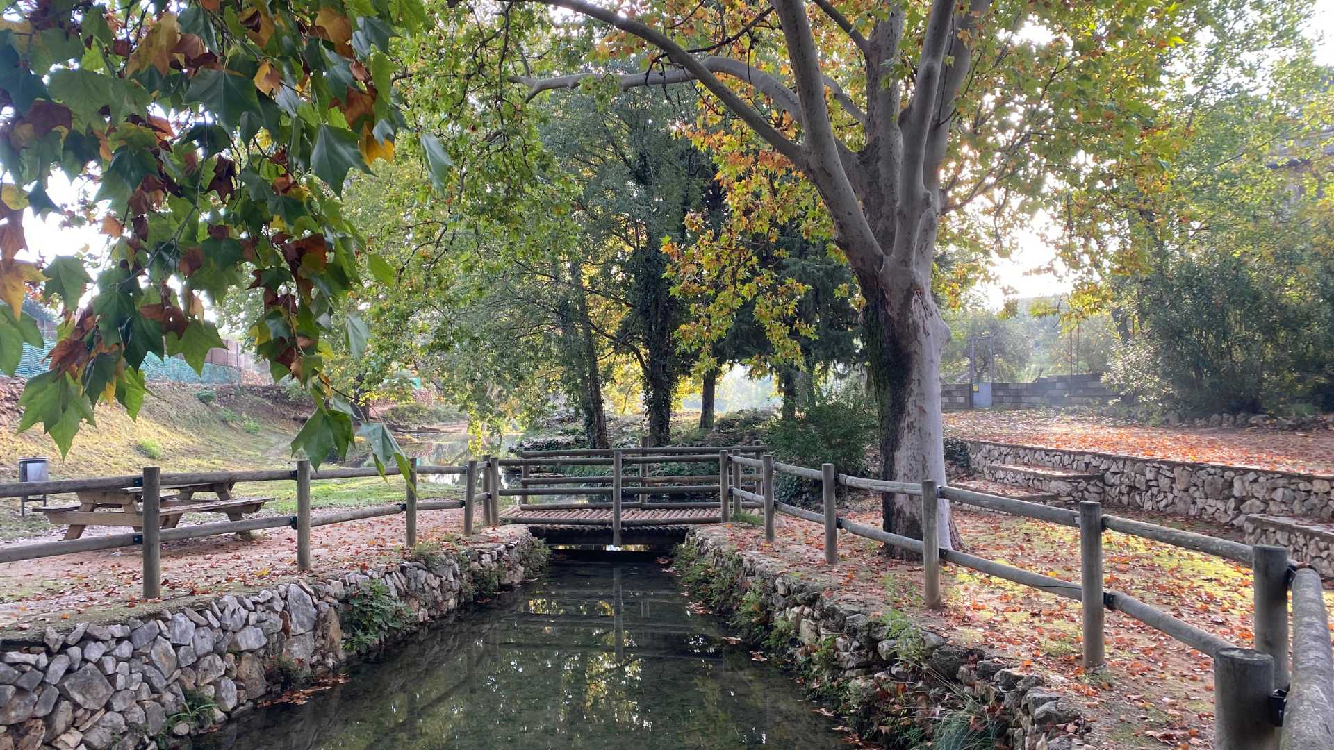 Fuente Negra