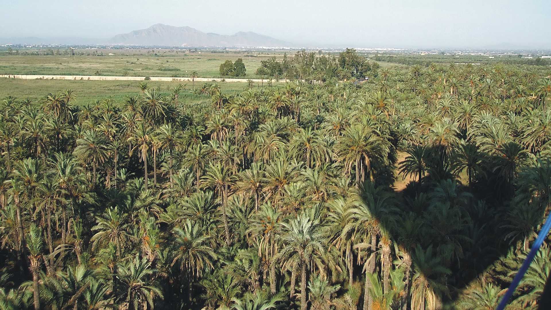 pläne in elche