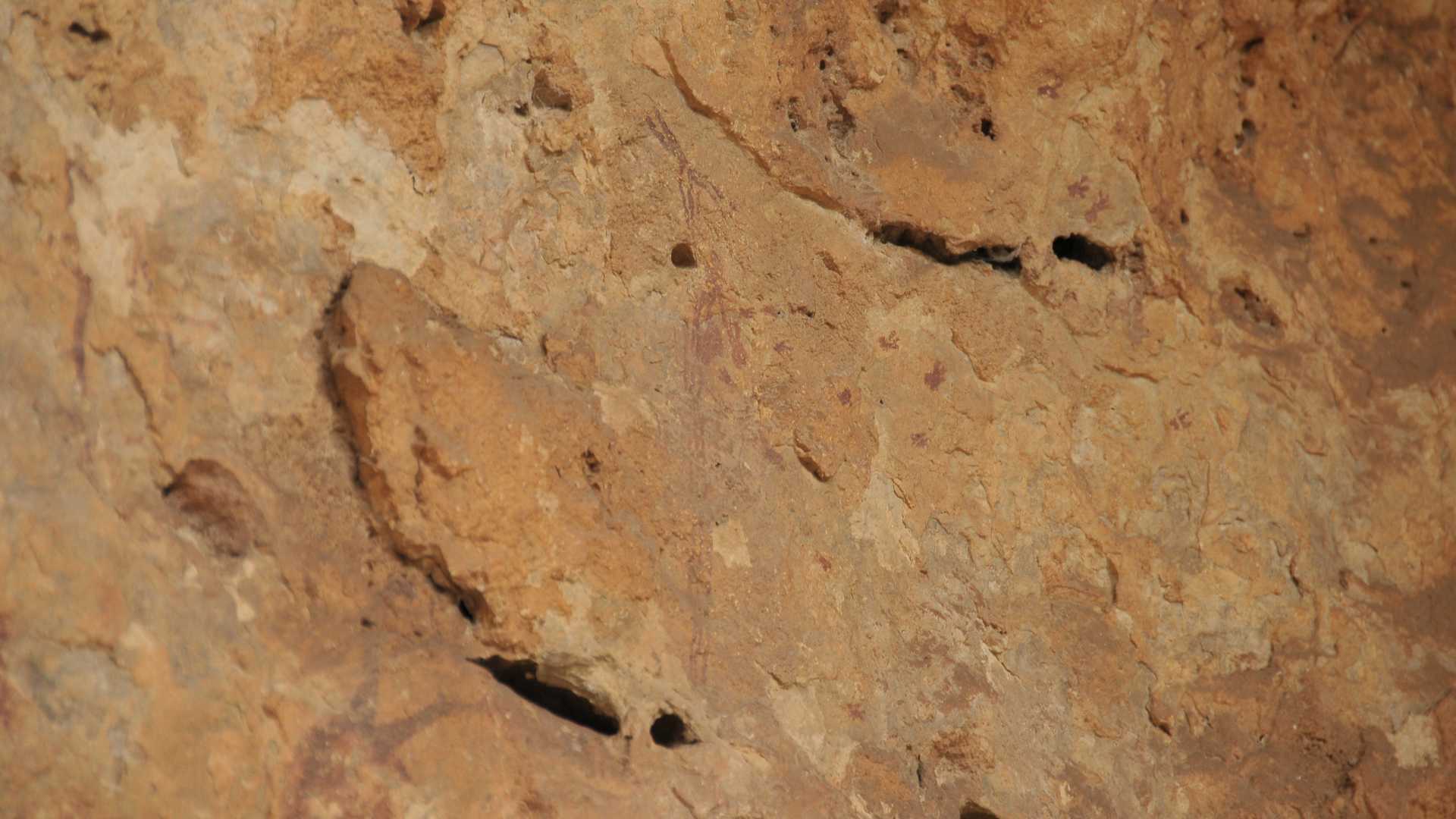 Cueva de la araña. Bicorp